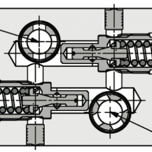 FPM-D-40-DV-D2-*-1/2